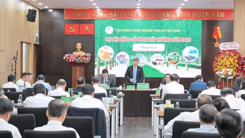Quang cảnh Đại hội cổ đông bất thường năm 2025 Tập đoàn VRG ngày 5/11 tại Thành phố Hồ Chí Minh.