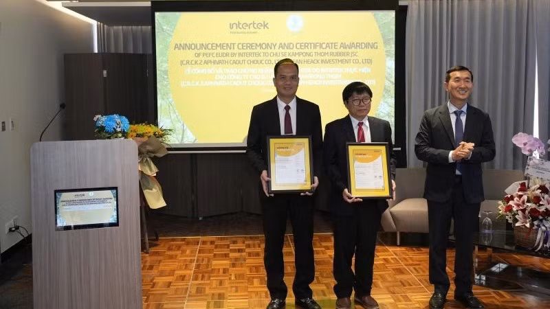 Lãnh đạo Intertek trao chứng nhận PEFC EUDR DDS cho cao-su Chư Sê-Kampong Thom.