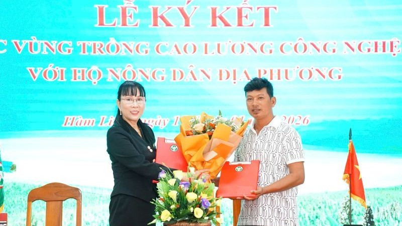Bà Lê Thị Mỹ Hằng, Chủ tịch Hội đồng quản trị QHC Group trao biên bản ký kết hợp tác phát triển vùng trồng cao lương với đại diện các hộ nông dân địa phương.