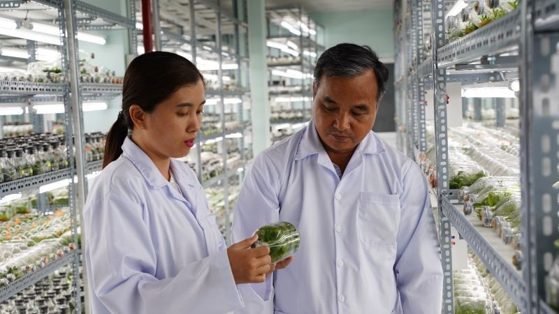 Phòng nhân giống hoa lan bằng phương thức nuôi cấy mô tại Khu Nông nghiệp công nghệ cao Thành phố Hồ Chí Minh. (Ảnh: CAO TÂN)