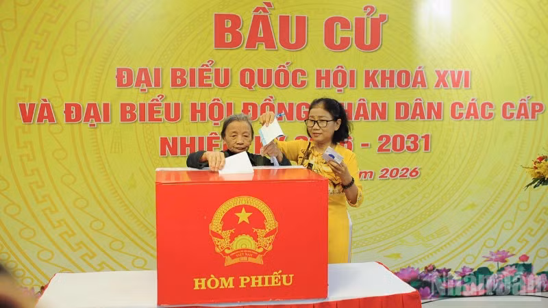 Cử tri phường Hải Châu bỏ phiếu bầu cử.