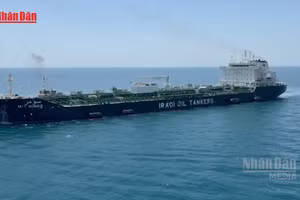 [Video] Mỹ - Iran gia tăng hoạt động quân sự tại Hormuz, lệnh ngừng bắn lung lay 