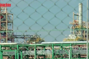 [Video] Mỹ để ngỏ kết thúc chiến sự tại Iran sớm, giá dầu thế giới giảm mạnh 