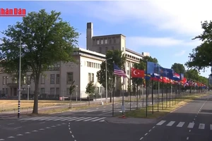 [Video] NATO thúc đẩy hiện diện tại Greenland trước sức ép từ Mỹ 