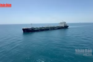 [Video] Giá dầu giảm mạnh trước thông tin Mỹ - Iran có thể dừng xung đột 