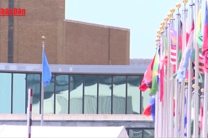 [Video] Mỹ sẽ rút khỏi 66 tổ chức quốc tế và cơ quan Liên hợp quốc 