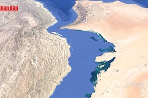 [Video] Tổng thống Mỹ D. Trump kêu gọi các nước tham gia bảo vệ Eo biển Hormuz 