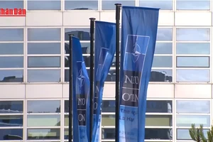 [Video] NATO điều quân tới Greenland giữa căng thẳng Mỹ – Đan Mạch 