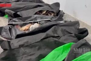 [Video] Tranh cãi về bên chịu trách nhiệm tấn công trường học tại Iran 