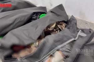 [Video] Mỹ cử tướng cấp cao điều tra vụ không kích trường tiểu học tại Iran 