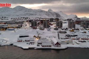 [Video] Mỹ bổ nhiệm đặc phái viên về Greenland, Đan Mạch phản đối 