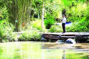 1- Hồ nước nằm giữa khu vườn giúp không gian thêm mát mẻ. 