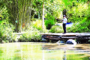 1- Hồ nước nằm giữa khu vườn giúp không gian thêm mát mẻ. 