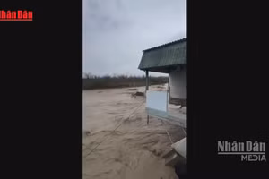 [Video] Lũ quét tại Dagestan, Nga khiến ít nhất 5 người thiệt mạng 