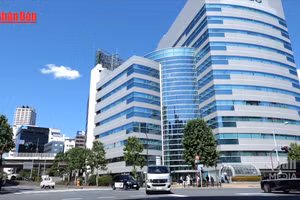 [Video] Cụ bà hơn 80 tuổi bị đối tượng giả danh cảnh sát lừa 7,5 triệu USD 