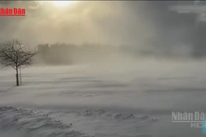 [Video] Bão mùa Đông khắc nghiệt “lịch sử” ảnh hưởng tới 200 triệu người Mỹ