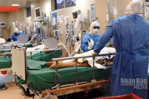 [Video] Chile: Số ca nhiễm virus Hanta gia tăng, tỷ lệ tử vong hơn 30% 