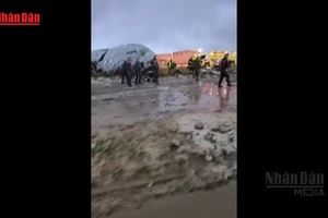 [Video] Máy bay quân sự Bolivia rơi khi chở tiền, 15 người thiệt mạng 
