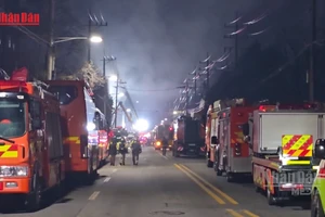 [Video] Cháy nhà máy phụ tùng ô tô tại Hàn Quốc khiến 10 người thiệt mạng 