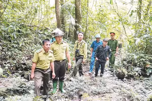 Cán bộ Hạt Kiểm lâm khu vực 5 cùng lực lượng chức năng thường xuyên tuần tra, bảo vệ rừng.