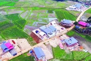 Những mái nhà mới được xây dựng sau lũ mang đến niềm vui trọn vẹn cho người dân làng Chút trong mùa xuân mới.