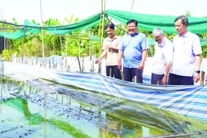 Đồng chí Phan Thanh Phương (thứ hai từ trái sang) đến thăm mô hình nuôi ếch sinh sản ở ấp Bình Hòa, xã Bình Thành.