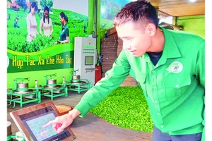 Phó Giám đốc Hợp tác xã Chè Hảo Đạt Đào Văn Toàn vận hành các máy vò chè qua hệ thống điều khiển.