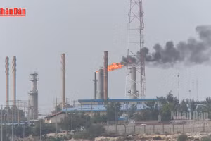 [Video] Xuất khẩu dầu Vùng Vịnh giảm gần 50% do căng thẳng ở Eo biển Hormuz 