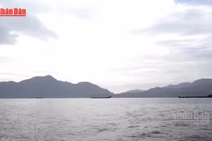 [Video] Iran bắt giữ 2 tàu tại Eo biển Hormuz, giá dầu vượt 100 USD/thùng 