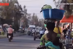 [Video] WHO cảnh báo nguy cơ gián đoạn thương mại tại châu Phi vì dịch Ebola 