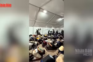 [Video] Các nhà hoạt động vì Dải Gaza cáo buộc bị ngược đãi tại Israel 