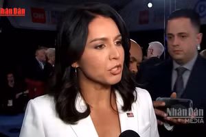 [Video] Giám đốc Tình báo Quốc gia Mỹ Tulsi Gabbard từ chức 