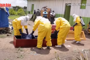 [Video] WHO hỗ trợ CHDC Congo mở rộng quy mô xét nghiệm virus Ebola 
