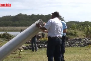 [Video] Nối lại tìm kiếm máy bay MH370 