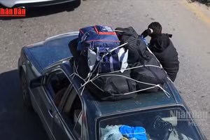 [Video] Người dân Liban về nhà sau khi lệnh ngừng bắn với Israel có hiệu lực 