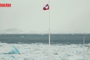 [Video] Giới chức Moskva nói người dân Greenland có thể bỏ phiếu gia nhập Nga 