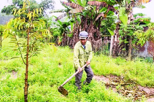 Ông A Băn chăm sóc vườn sầu riêng của gia đình.