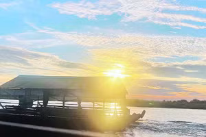 Thuyền du lịch đưa du khách tham quan Vườn quốc gia Tràm Chim.