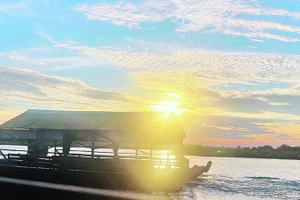 Thuyền du lịch đưa du khách tham quan Vườn quốc gia Tràm Chim.