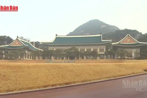 [Video] Hàn Quốc tái cam kết đầu tư vào Mỹ dù Nhà Trắng dọa tăng thuế