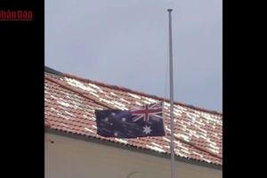 [Video] Australia siết quản lý súng đạn sau vụ thảm sát tại Bondi, Sydney 
