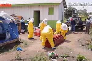 [Video] WHO: Chủng Ebola Bundibugyo khiến 30-50% bệnh nhân tử vong 