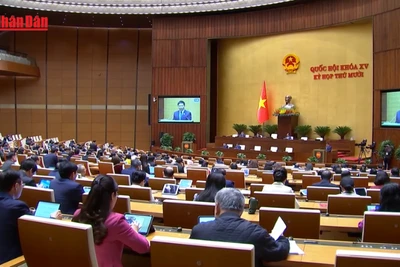 [Video] Sửa Luật Thuế thu nhập cá nhân: rõ ràng, minh bạch, tạo sự đồng thuận xã hội