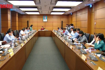 [Video] Đại biểu thảo luận về một số dự thảo Luật lĩnh vực giáo dục