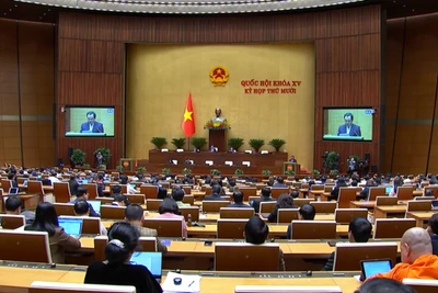 [Video] Tăng phân cấp, phân quyền trong lĩnh vực nông nghiệp và môi trường