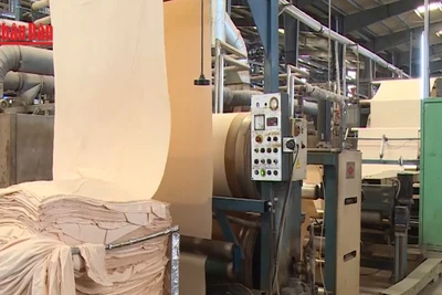 [Video] Tăng giá trị gia tăng cho ngành dệt may Việt Nam 