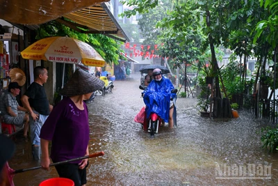 Trong các ngõ nhỏ, nước dâng cao, thoát chậm khiến việc đi lại gặp nhiều khó khăn. 