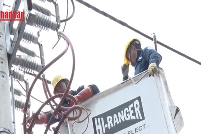 [Video] Điện lực TP Hồ Chí Minh bảo đảm cung cấp điện dịp Noel 2025 và Tết Dương lịch 2026