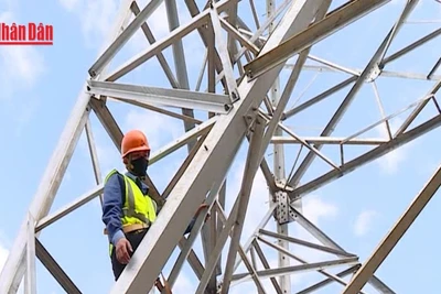 [Video] Nỗ lực thi công dự án đường dây 220kV Than Uyên – Lào Cai