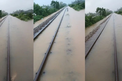 Hiện nay tại Km682+550 - 682+700 nước trên đỉnh ray 70mm; Km683+200 - 683+650 nước trên đỉnh ray 185 mm.